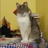 Отзыв от Алевтина Снегирева